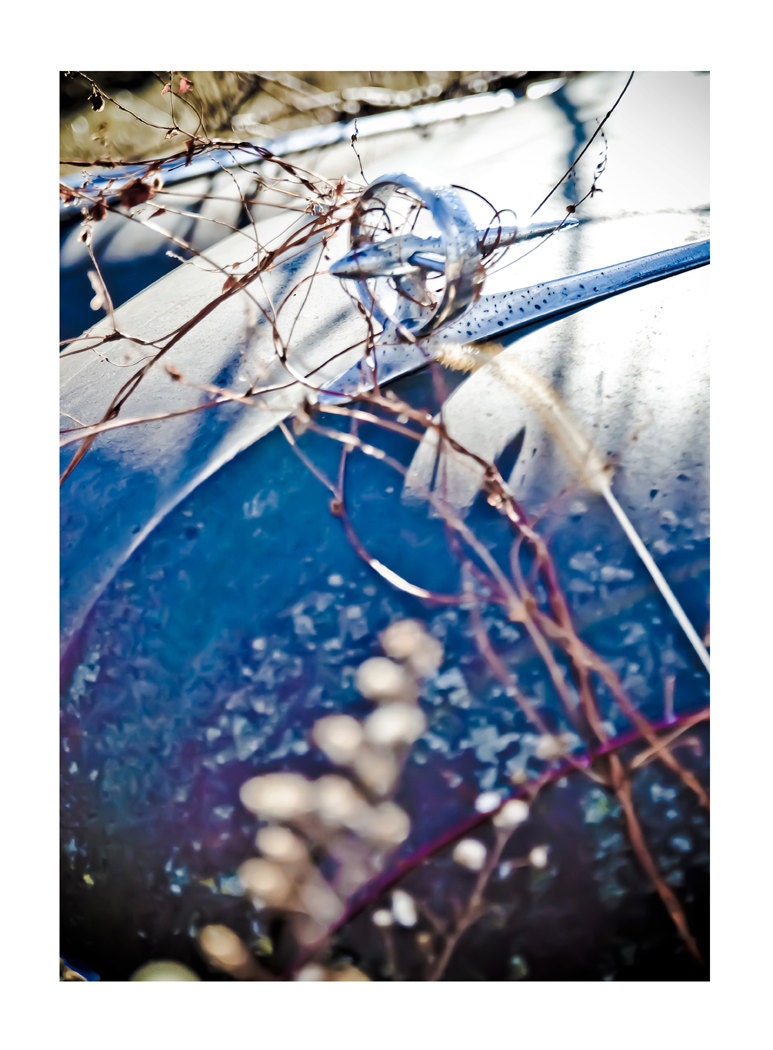 Tangled Up In Blue Rusty Abandoned Buick Car in Field - Rural Gift for Car Lover - 8x10 matted