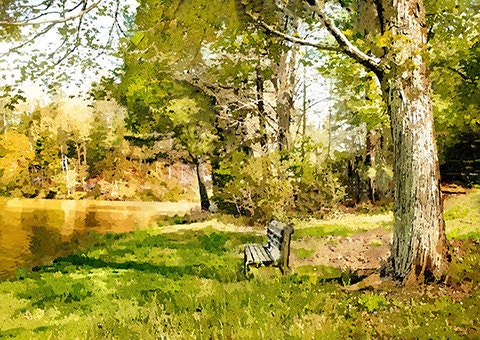 Bench under Tree at Cherokee Lake - Spring landscape - beautiful nature - Blue Ridge Mtns - green yellow - matted to 11x14 ready to frame