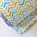 Baby Blanket, Ripples in Aqua and Gray Bubble Dot Minky