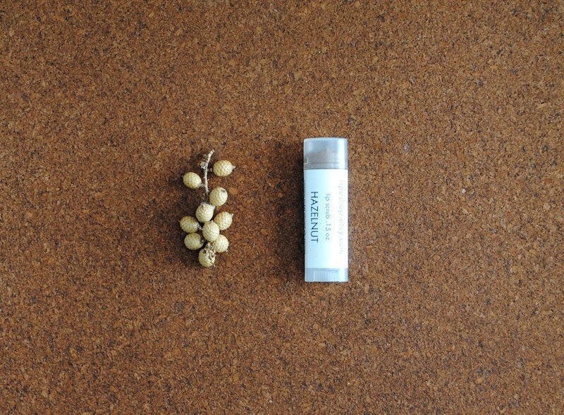 Hazelnut Lip Scrub - Exfoliating, Soft Lips, Avocado Oil, Cocoa Butter, Hazelnut Smell, All Natural Chocolate
