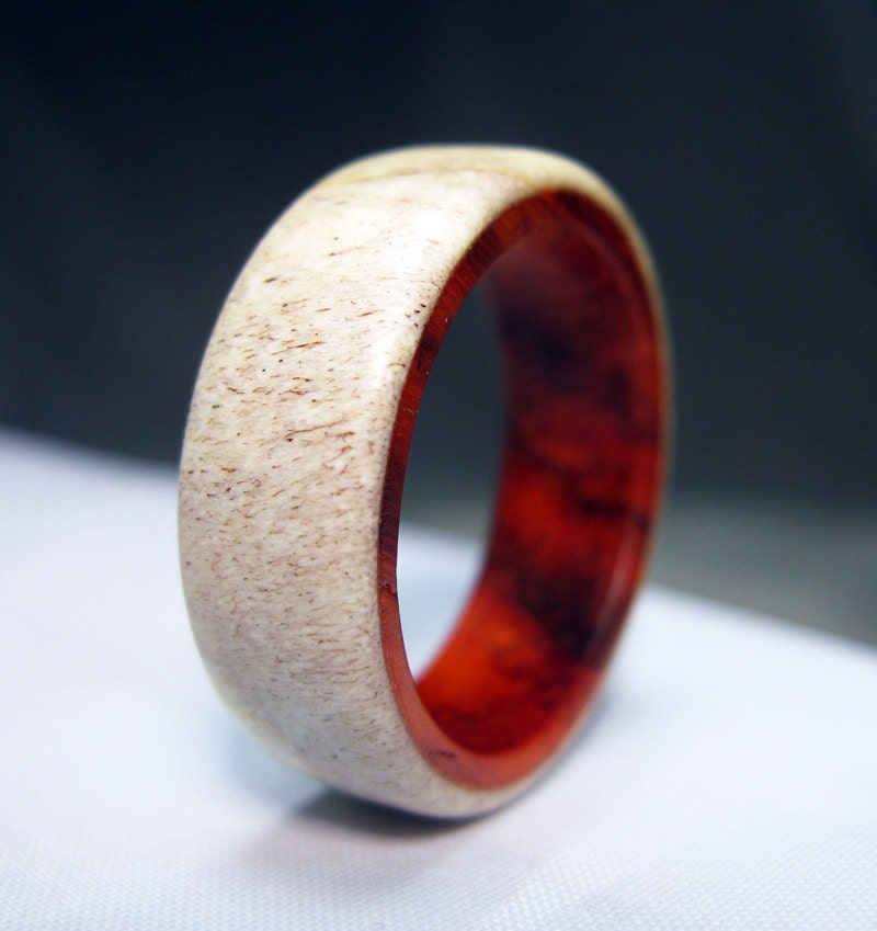 Caribou Antler Ring Lined with Padauk Wood