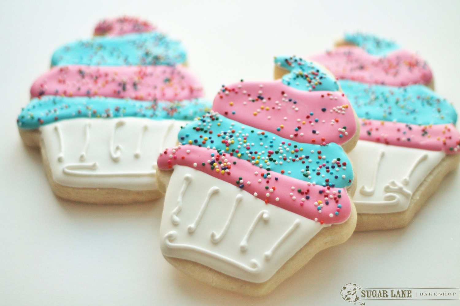 Large Birthday Cupcake Decorated Sugar Cookies