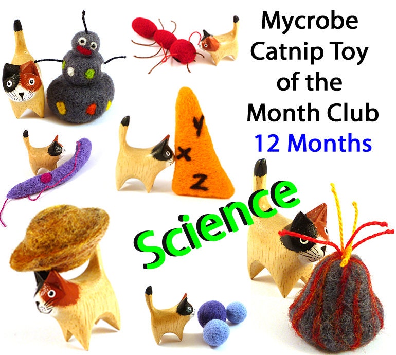 Mycrobe Cat Toy of the Month - Science Theme - 12 Months