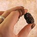 Steampunk Clockwork pendant. Silver, Copper, & Bronze Gears Necklace. Handmade jewelry