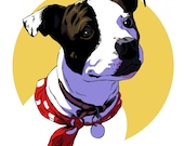 Bespoke Illustrated Pet Portrait.