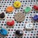 Brown Bear, Brown Bear What Do You See Fondant Toppers