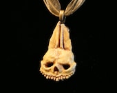 Zombie Rabbit Skull Pendant - bone white with gold-tone necklace
