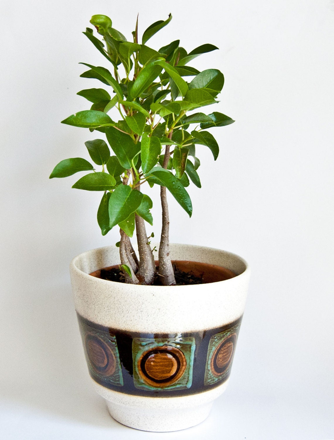 West German Pottery Planter