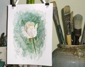 WHITE ROSE - 2  Original Watercolor Painting by Jamie Dauch Michigan artist