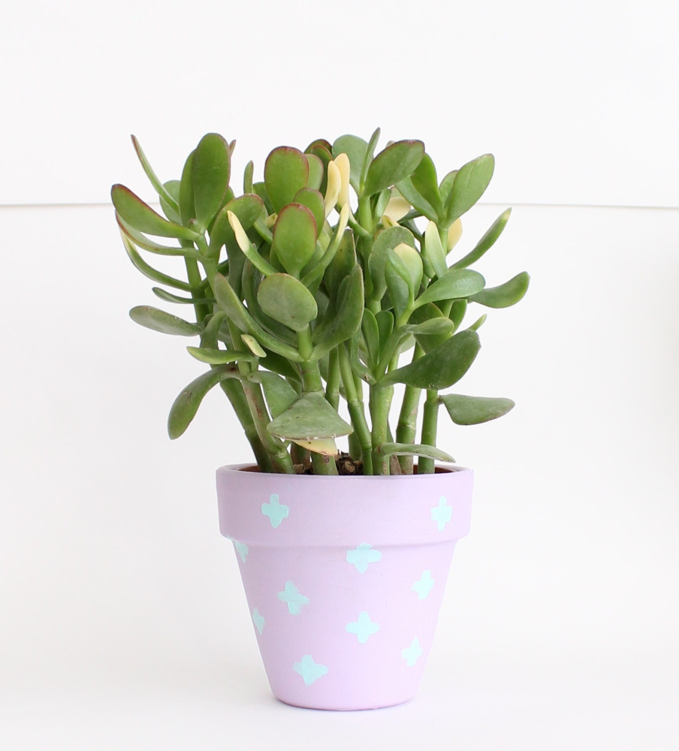 Small plant pot, succulent planter spring decor, painted pastel pottery