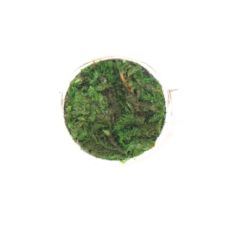 Eco Friendly Moss Ring, Terrarium, Terrarium Jewelry, Living Plant Jewelry, Earth Day, Spring Garden Gift