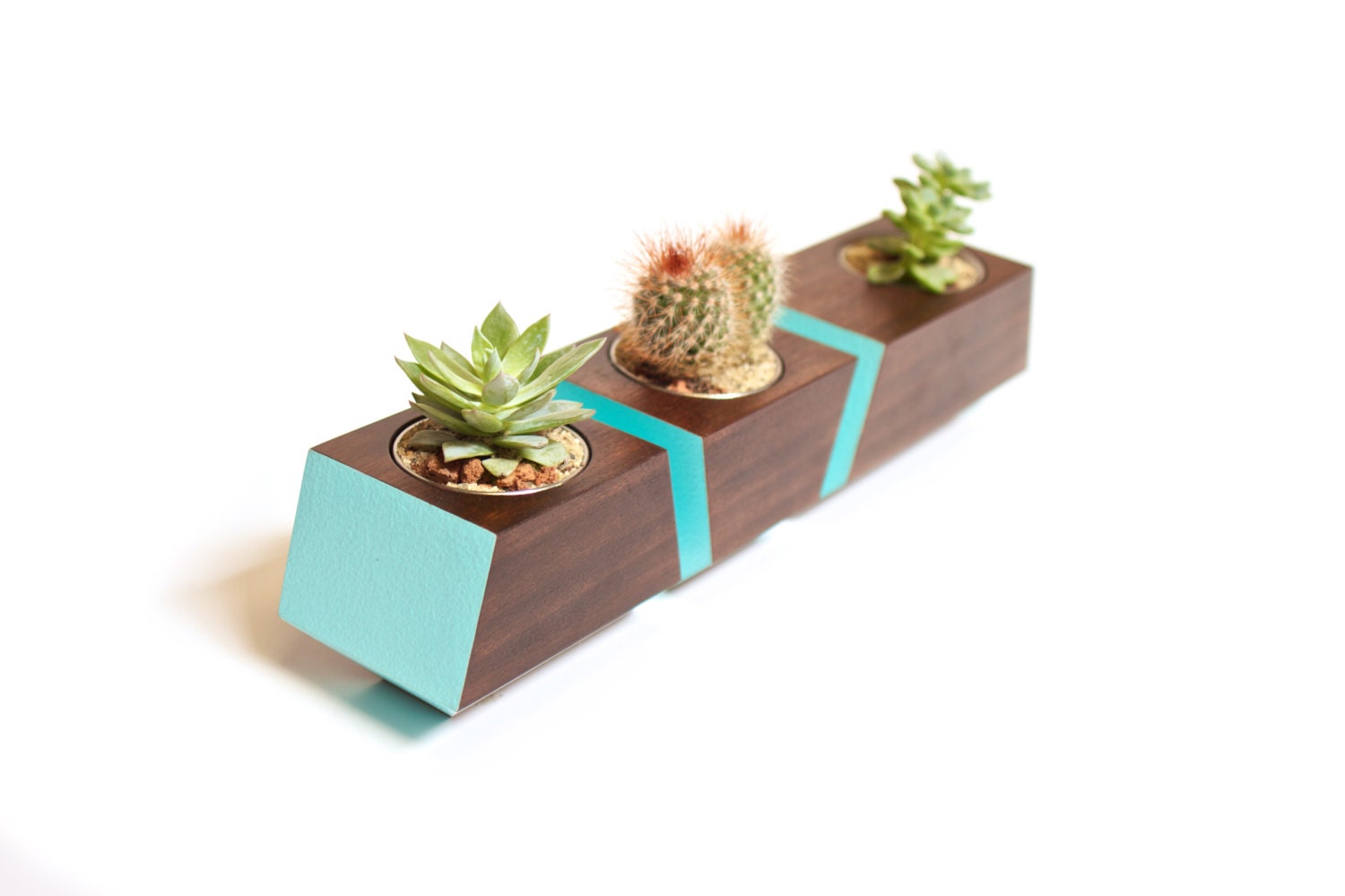 Boxcar Succulent Planters - Poplar with Robin Egg Blue