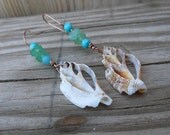 Nautical Earrings - Sliced Seashell Earrings - Tiny Turquoise Beads - Handmade Jewelry - Beach Earrings
