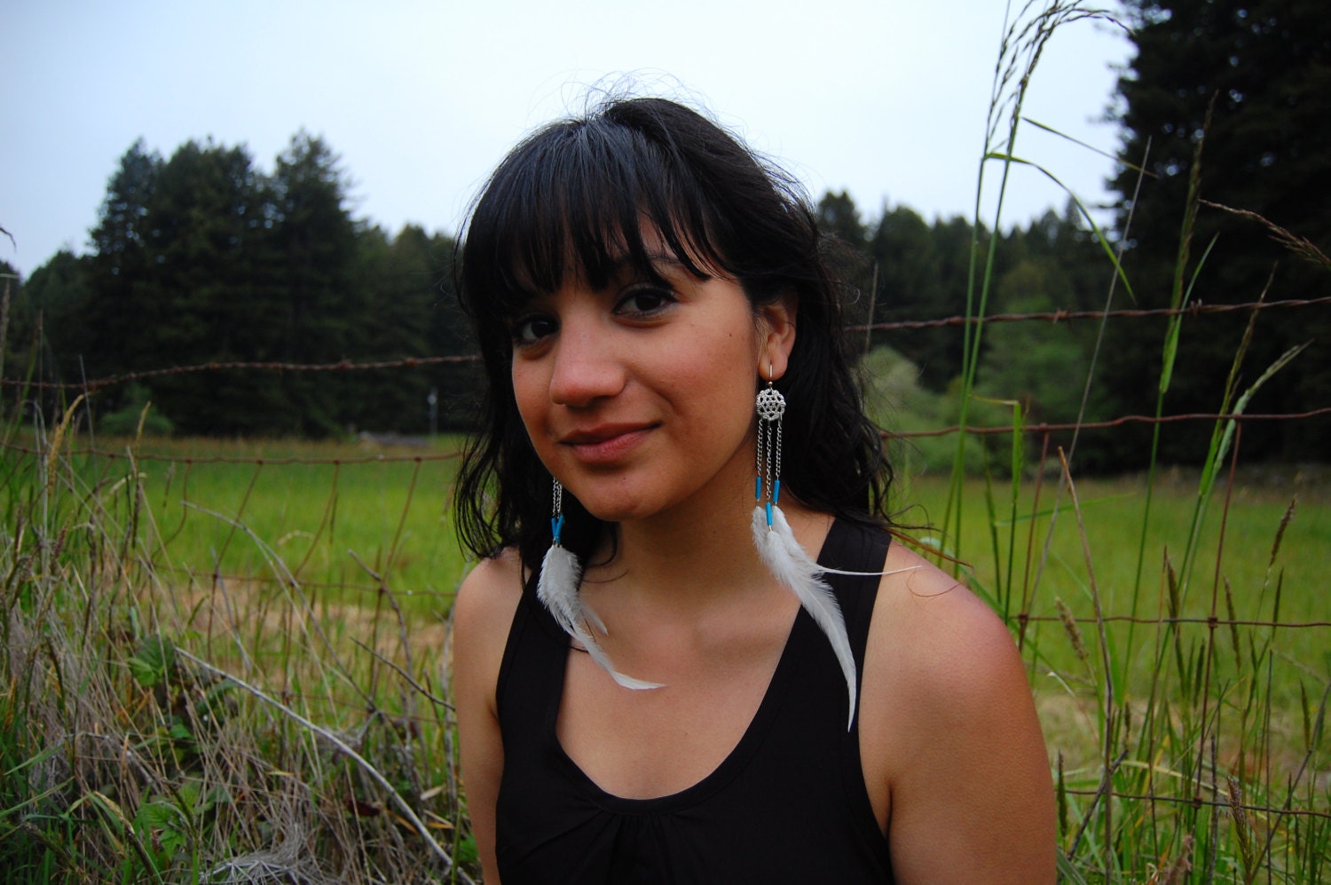 Native Sky Dreamcatcher & Turquoise Feather Earrings