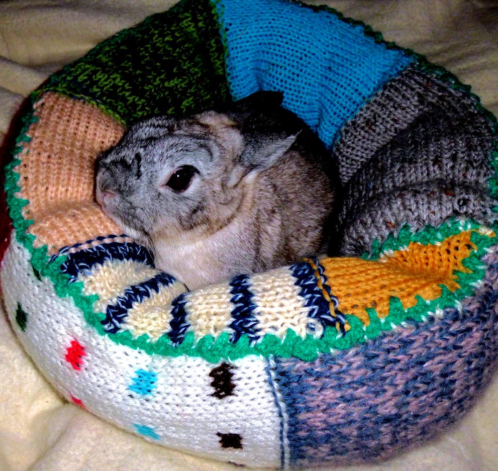 Ugli Donut bunny rabbit bed for a small sized bunny hand knit turquoise folk mix