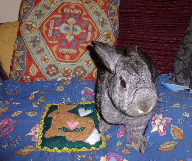 soft quilted carrier liner blanket for bunny rabbits cotton - the Bun-velope - blue vintage print