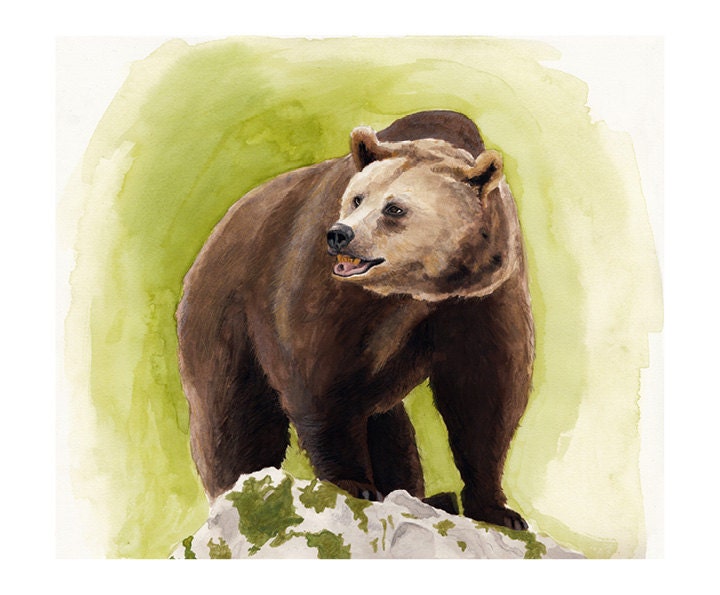Bear Illustration - Archival Print 10x8