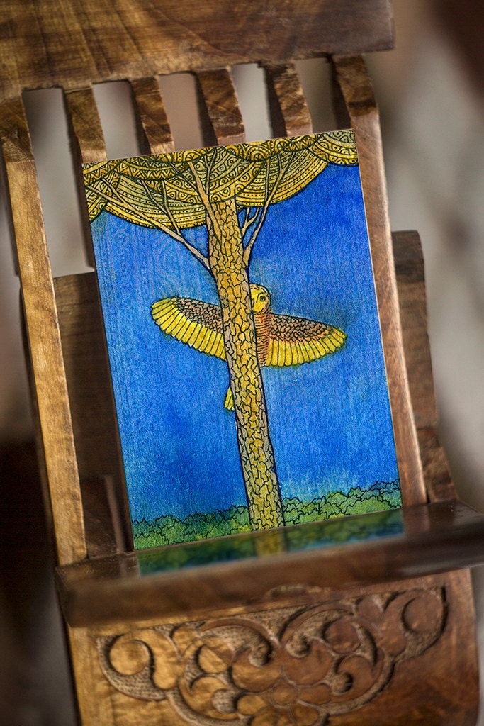 ACEO print - Hiding Owl