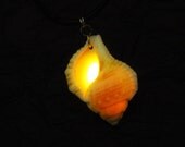 The Little Mermaid Necklace - Ariel's Voice - Ursula's Necklace - Glow in the Dark Mermaid Necklace - Mermaid Jewelry - Glowing Shell