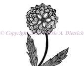 Black and White Art Pen and Ink Dahlia Flower Design Illustration Signed 5 x 7  Wall Art Print Home Decor Design Drawing