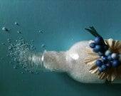 SALT SHAKERS ,6 Blend, Organic & Natural Sea Salt Soaks, Aromatherapy , essential oils, 8  oz, weights will vary
