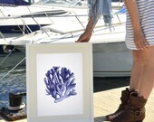 Wall decor Poster A3 Plus size  Blue coral n02 Antique sealife Illustration -A3 Marine Poster - sea life poster