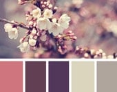 INSTANT DOWNLOAD // Digital Color Board Template // 20x 20 // Photography Template // Blog Template // Scrapbook Template Il_170x135