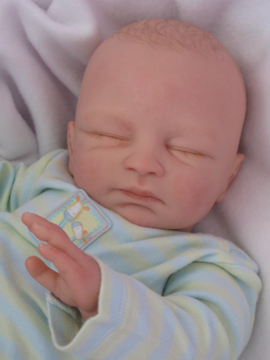 Reborn baby boy, Limited Addition Beth sculpt, time to come home
