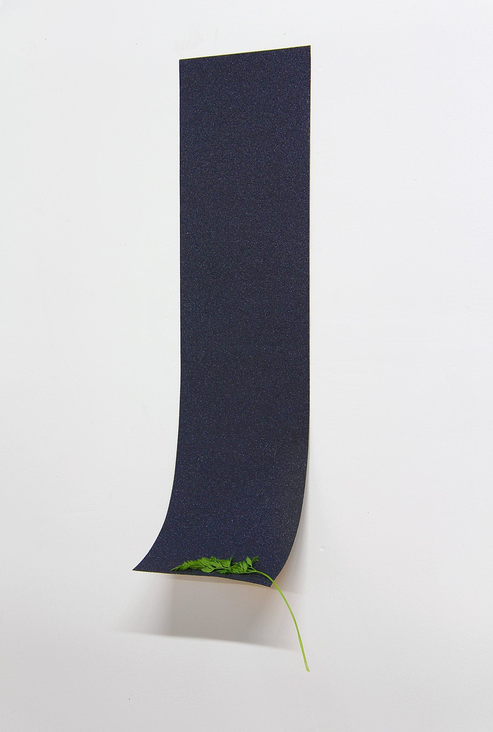 grip tape HERB HOLDER