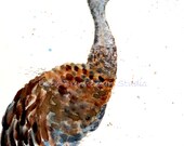 Watercolor sandhill crane Giclee print