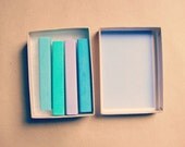 Salon Grade Hair Chalks - Sea glass color set