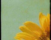 Sunflower Fine Art Print, Vintage Nature Photography, Retro Teal Blue Sky, Yellow Sunflower, Landscape 8x10 - Sunflower