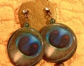 Earrings made with Unique Handmade Peacock Round Paper Beads and Turquoise Blue Swarovski Bicones.
