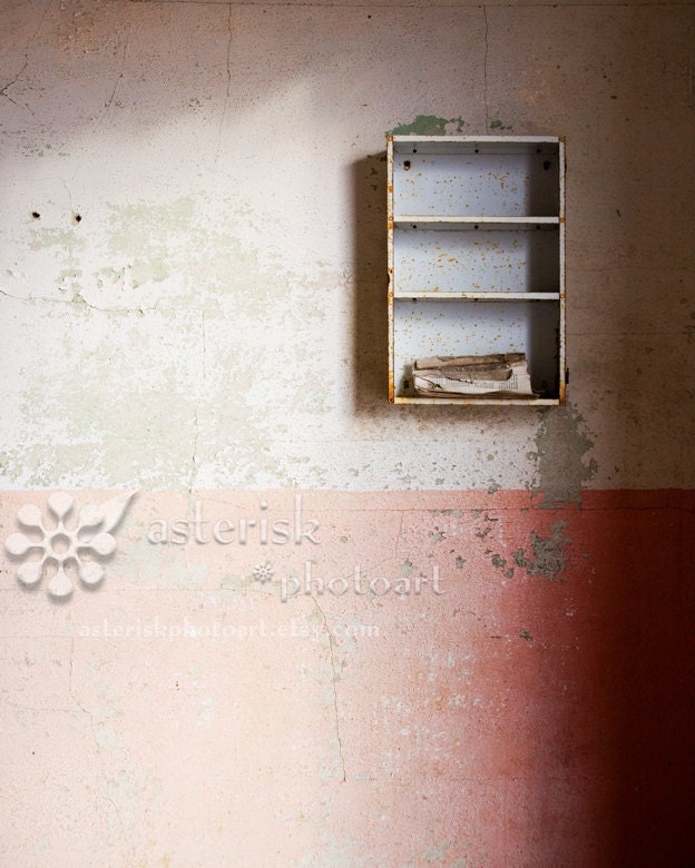 Medicine Cabinet, 8 X 10 photograph, Rustic, shabby chic, fine art photographic print - AsteriskPhotoart