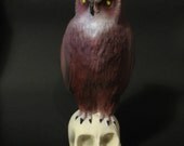 Handmade owl on skull sculptures
