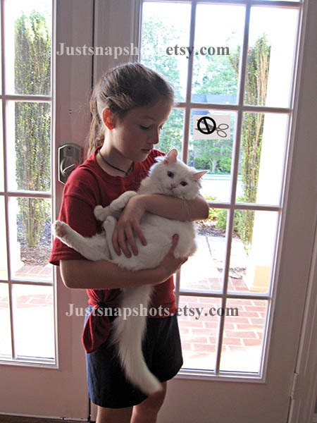 Casper the Ragdoll Cat 01
