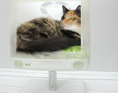 Upcycled Apple Computer Pet Bed - iMac - Cat Bed