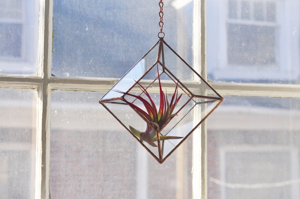 NEW Zephyrus Terrarium -- for air plant terrarium or small succulent -- stained glass -- terrarium supplies -- eco friendly