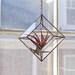 NEW Zephyrus Terrarium -- for air plant terrarium or small succulent -- stained glass -- terrarium supplies -- eco friendly