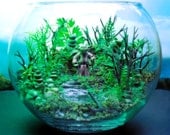 Yoda Dagobah Swamp Garden - Terrarium / Diorama