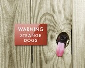 Cute Dog Sign. Funny Engrish Signage for Pet Lovers. Strange Dogs