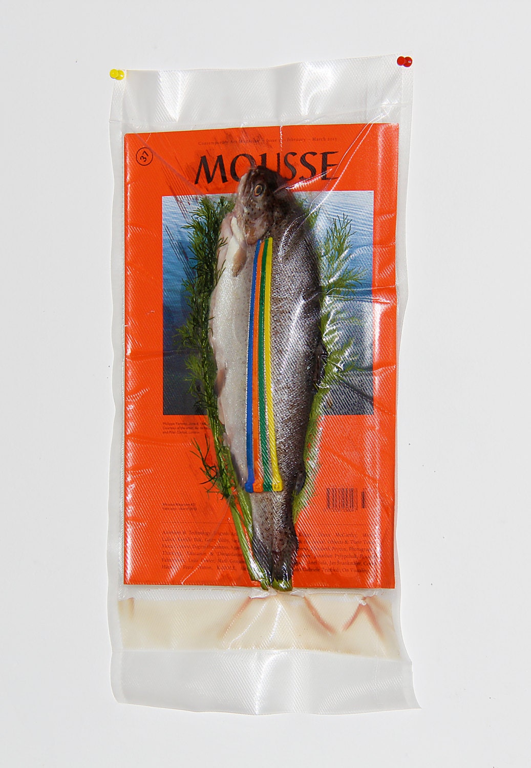 vacuum sealed FRESH TROUT on spices with Zip Ties atop MOUSSE Magazine (Italian translations available) Solid Addition to Any Collection 1/1