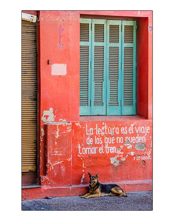 La Boca Dog, Buenos Aires 11x14 Photograph
