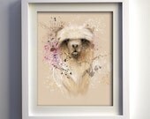 8x10 FineArt Print- Soft Llama