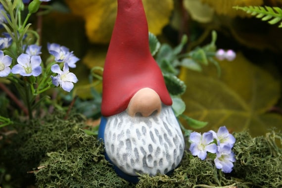 Nosey Little Garden Gnome - Funny Gnome - Terrarium Decor