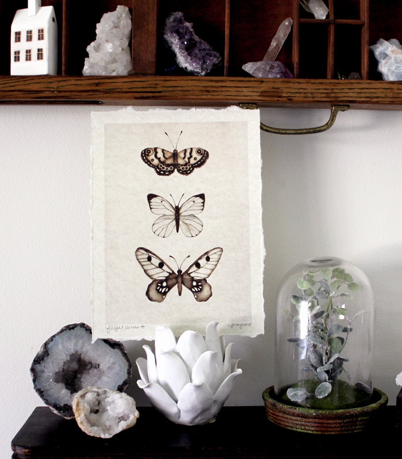 Flight Series A - Nature Collection Art Print Butterfly Bird Leaf