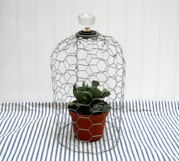 Chicken wire cloche with glass knob finial by hopeandjoystudios