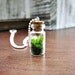 Terrarium Necklace with Sterling Silver Chain