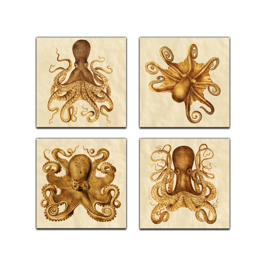 Octopus Collection Ernst Haeckel Reproduction Panel