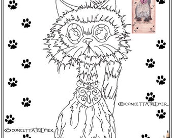 Himalayan Cat Colouring Pages Sketch Coloring Page